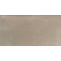 DAYTON TAUPE 30 X 60 1ª