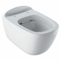 INODORO SUSP. CITTERIO RIMFREE 